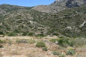 Οικόπεδο 35.000 τ.μ. προς πώληση, Μακρύς Γιαλός Λασιθίου-thumb-23