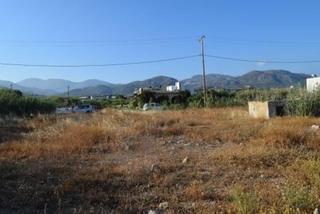 Οικόπεδο 2.000 τ.μ. προς πώληση, Μακρύς Γιαλός Λασιθίου-thumb-7