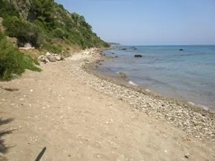 Land plot 10.000 sqm for sale, Zante, Main Town Area