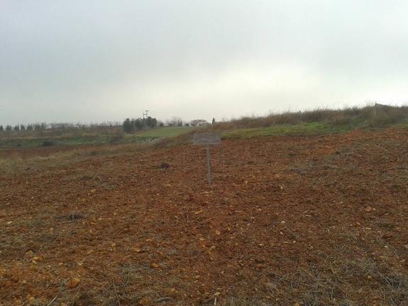 Αγροτεμάχια 5.625 τ.μ. για πώληση, Ν. Δράμας, Δράμα