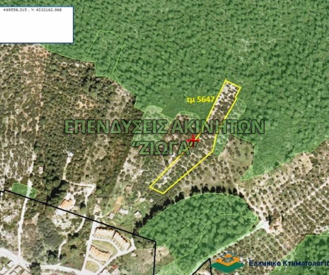 Parcel 5.647sqm for sale-Skopelos » Neo Klima