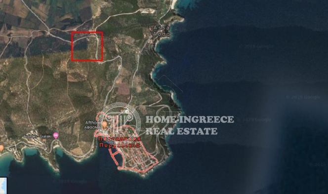 Αγροτεμάχια 11.332 τ.μ. για πώληση