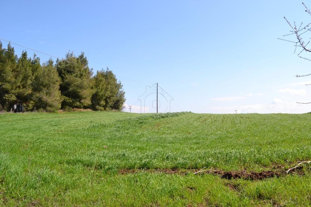 Αγροτεμάχια 3.300 τ.μ. προς πώληση, Νέα Φώκαια Κασσάνδρας