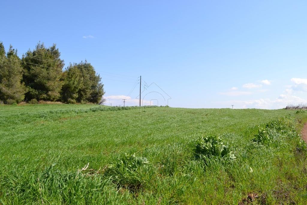 Αγροτεμάχια 3.300 τ.μ. προς πώληση, Νέα Φώκαια Κασσάνδρας