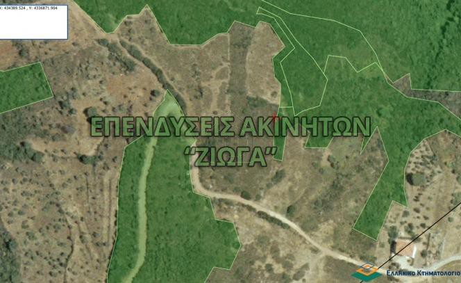 Parcel 4.295sqm for sale-Sipiada » Lafkos