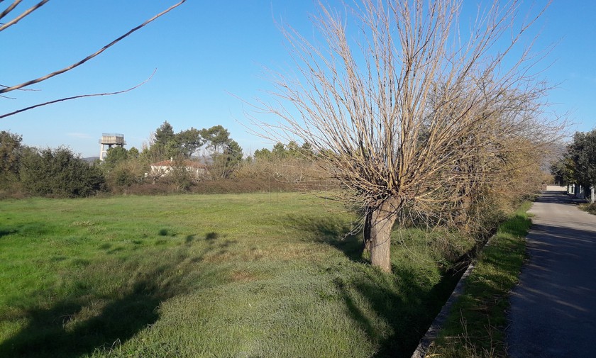 Οικόπεδο 3.625 τ.μ. για πώληση