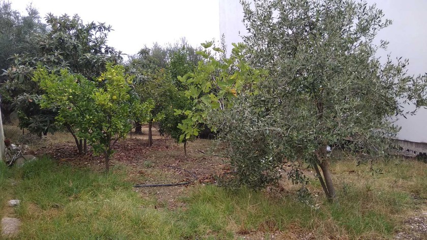 Οικόπεδο 165 τ.μ. για πώληση