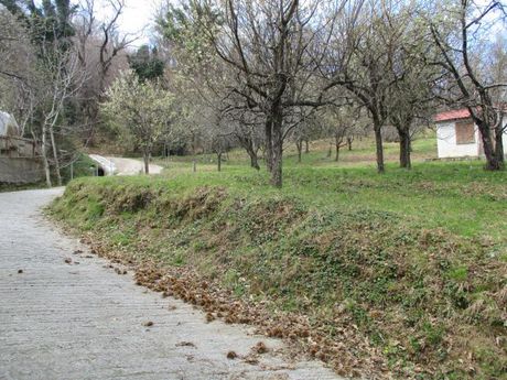 Οικόπεδο 2.357τ.μ. για πώληση-Μούρεσι » Άγιος δημήτριος