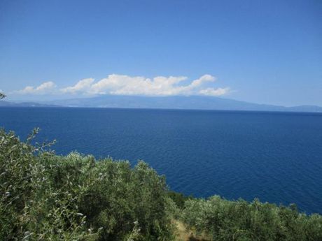 Οικόπεδο 16.705τ.μ. για πώληση-Σούρπη » Αμαλιάπολη