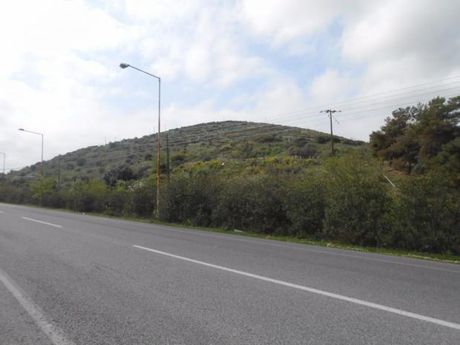 Αγροτεμάχια 6.464τ.μ. για πώληση-Βόλος » Νέες παγάσες