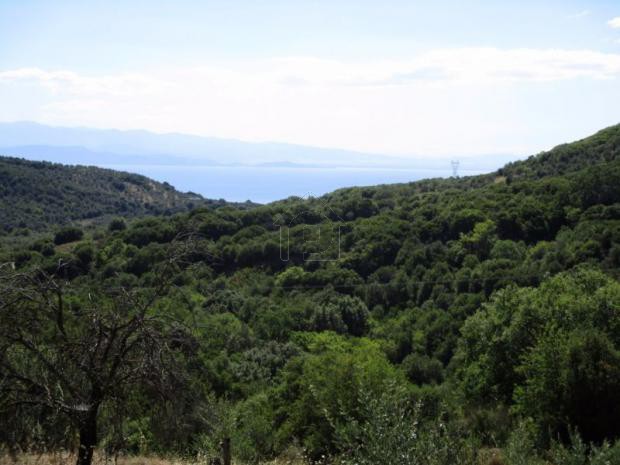 Αγροτεμάχια 5.876τ.μ. για πώληση-Αργαλαστή » Ξινόβρυση