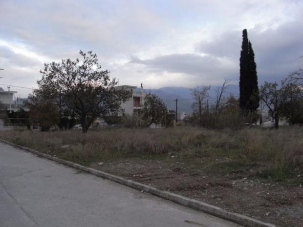 Οικόπεδο 390τ.μ. για πώληση-Νέα ιωνία βόλου » Κέντρο