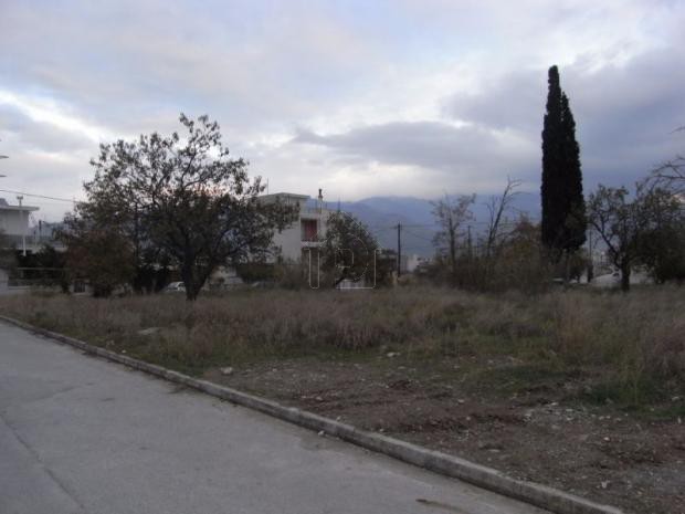 Land plot 390 sqm for sale, Magnesia, Nea Ionia Volou