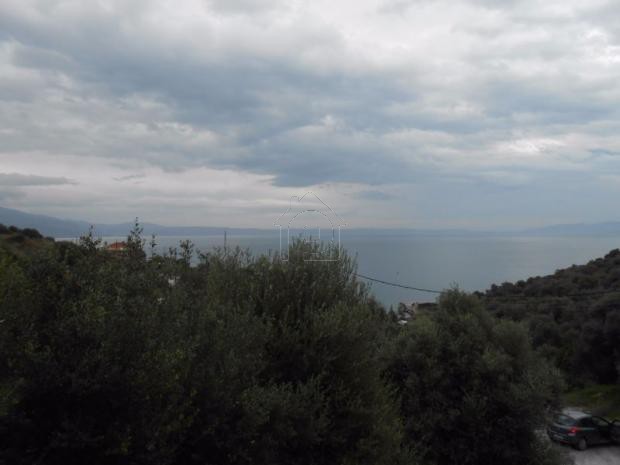 Οικόπεδο 590τ.μ. για πώληση-Βόλος » Αγ. βασίλειος