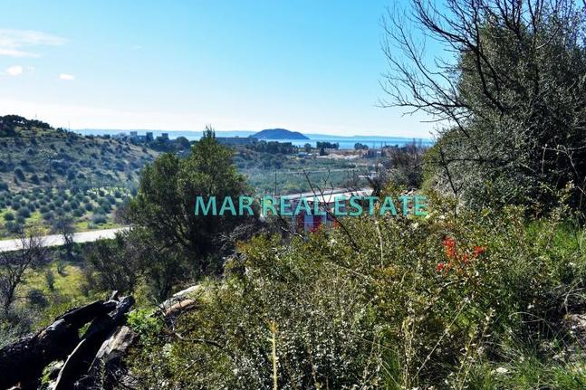 Αγροτεμάχια 6.000 τ.μ. για πώληση, Χαλκιδική, Σιθωνία
