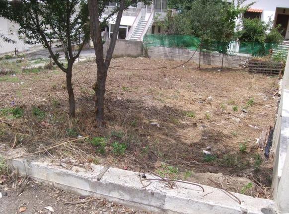 Αγροτεμάχια 220 τ.μ. για πώληση, Θεσσαλονίκη - Περιφ/Κοί Δήμοι, Χορτιάτης