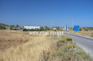 Οικόπεδο 2.500τ.μ. για πώληση-Σιθωνία » Άγιος αθανάσιος