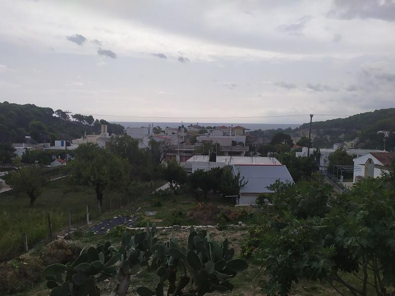 Οικόπεδο 436τ.μ. για πώληση-Αλόννησος » Πατητήρι