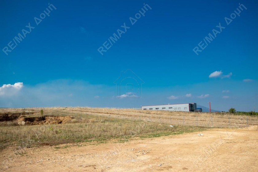 Αγροτεμάχια 8.013τ.μ. για πώληση-Φερών