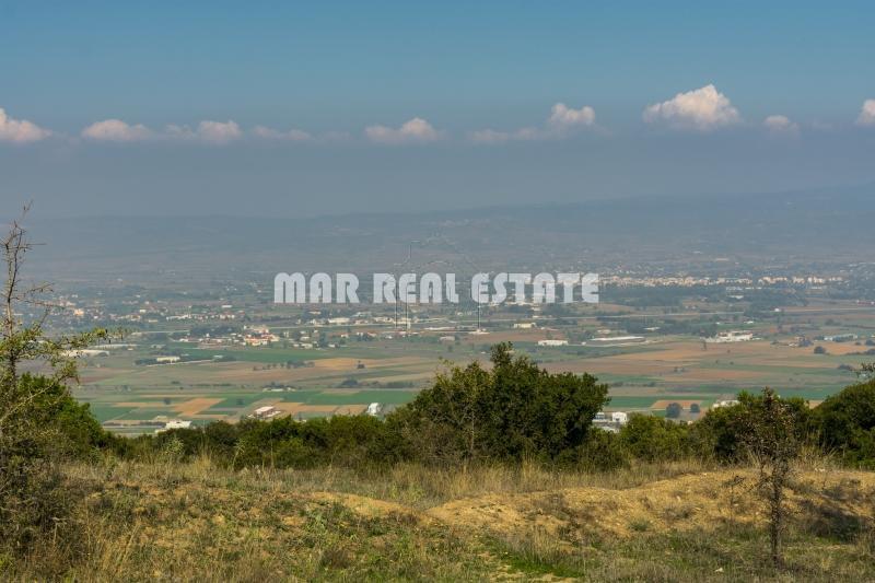 Αγροτεμάχια 6.500 τ.μ. προς πώληση, Φίλυρο