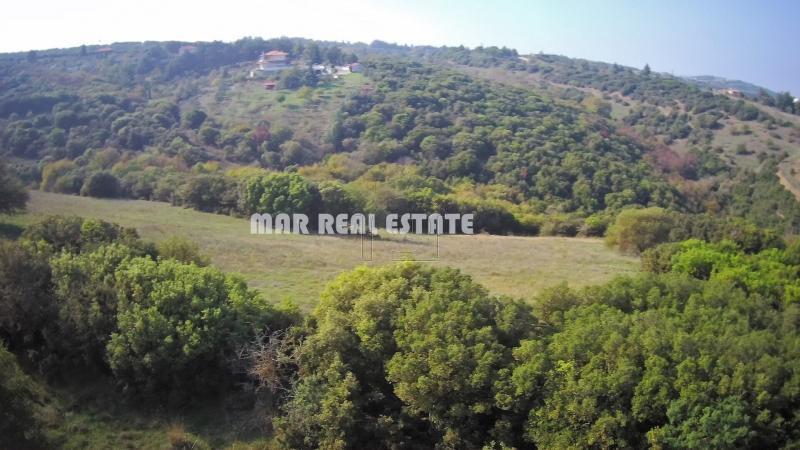 Αγροτεμάχια 6.500 τ.μ. προς πώληση, Φίλυρο