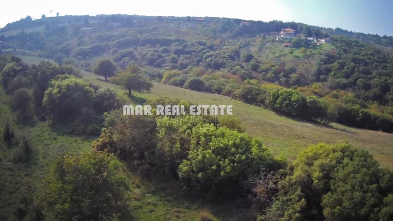 Αγροτεμάχια 6.500 τ.μ. προς πώληση, Φίλυρο