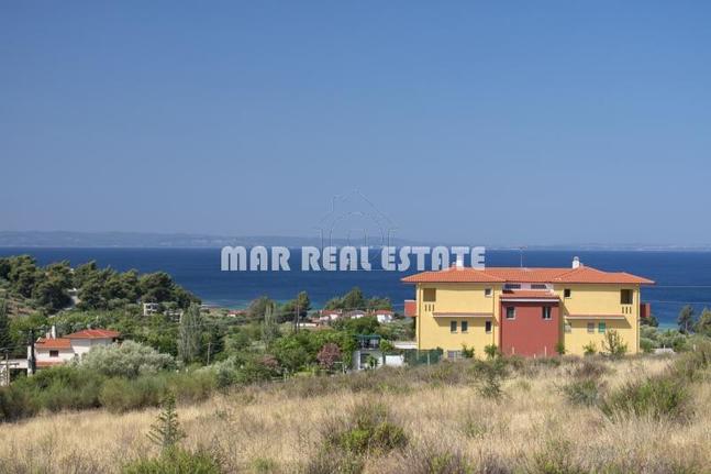 Αγροτεμάχια 6.000 τ.μ. για πώληση, Χαλκιδική, Σιθωνία
