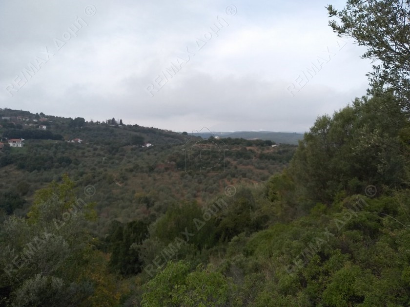 Αγροτεμάχια 4.182τ.μ. για πώληση-Αργαλαστή » Κέντρο