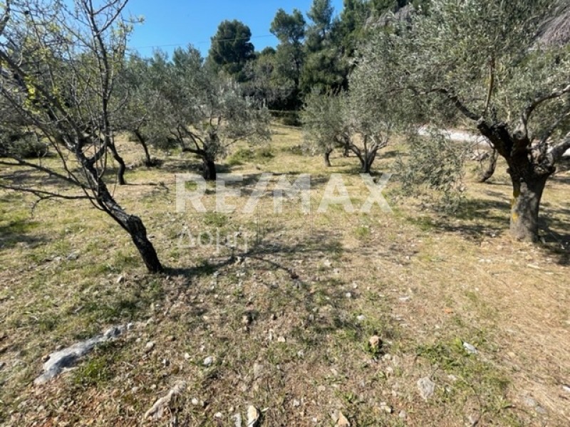 Parcel 4.205 sqm for sale, Sporades, Alonnisos