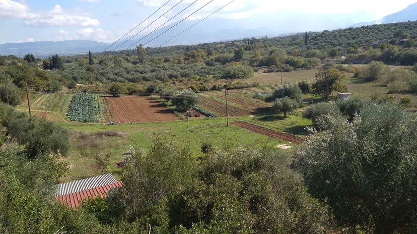 Αγροτεμάχια 6.000τ.μ. για πώληση-Βραχναίικα » Μοιραίικα