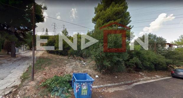 Land plot 700sqm for sale-Drosia