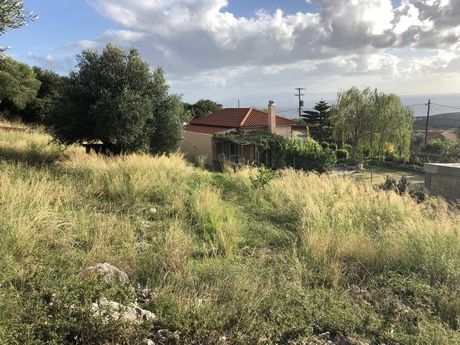 Land plot 500sqm for sale-Kefalonia » Leivatho