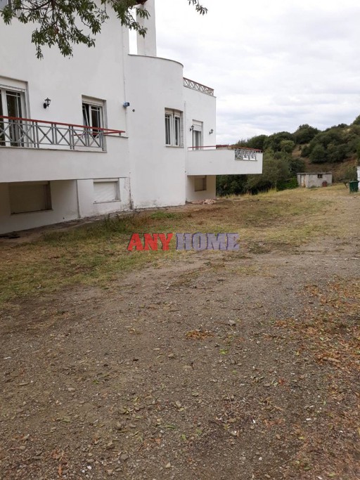 Μονοκατοικία 320τ.μ. για πώληση-Χορτιάτης » Φίλυρο
