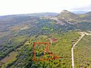 Parcel 10.480sqm for sale-Kefalonia » Leivatho