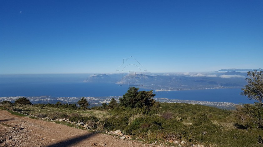 Αγροτεμάχια 15.600τ.μ. για πώληση-Ρίο » Άνω καστρίτσι