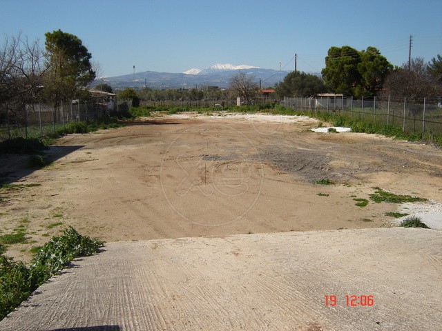 Οικόπεδο 1.500τ.μ. για ενοικίαση-Κόρινθος » Αρχαία κόρινθος