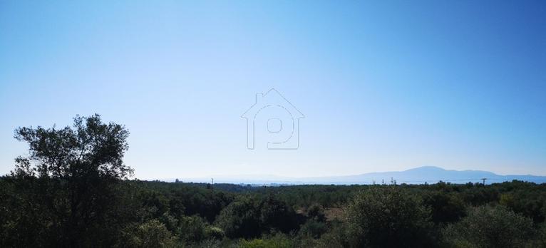 Parcel 4.567 sqm for sale, Messinia, Kalamata