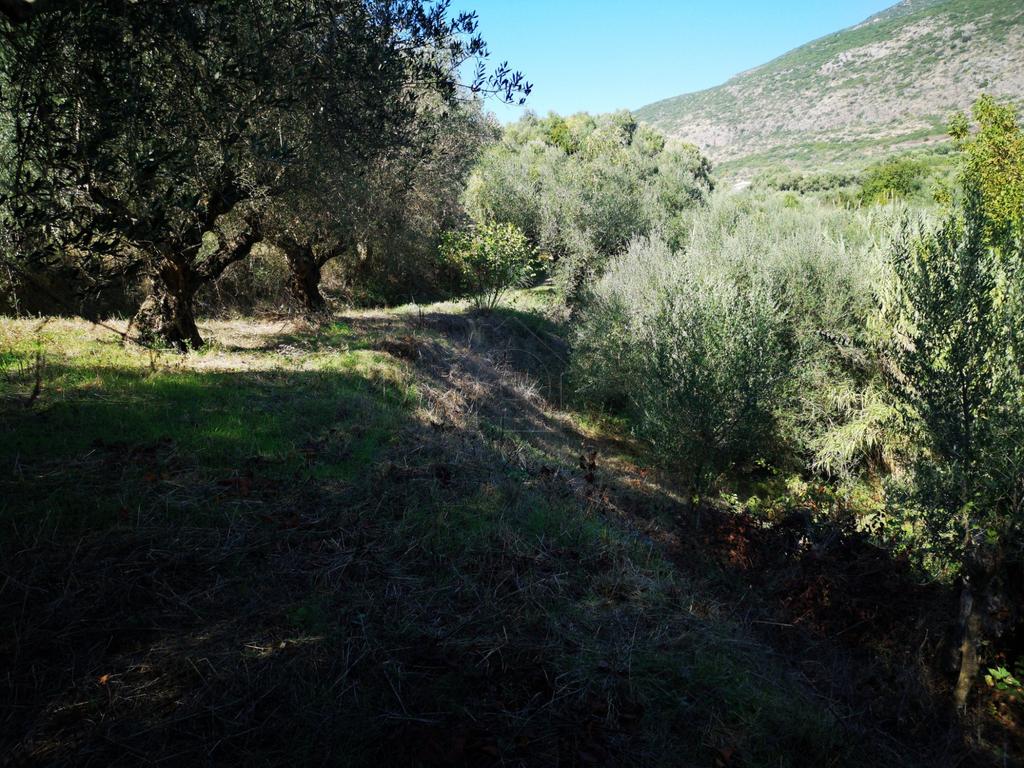 Αγροτεμάχια 4.567 τ.μ. προς πώληση, Κατσαραίικα