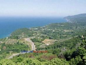 Μονοκατοικία 320 τ.μ. προς πώληση, Καρίτσα Ευρυμένου-thumb-15
