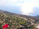 Parcel 8.005sqm for sale-Kefalonia » Leivatho