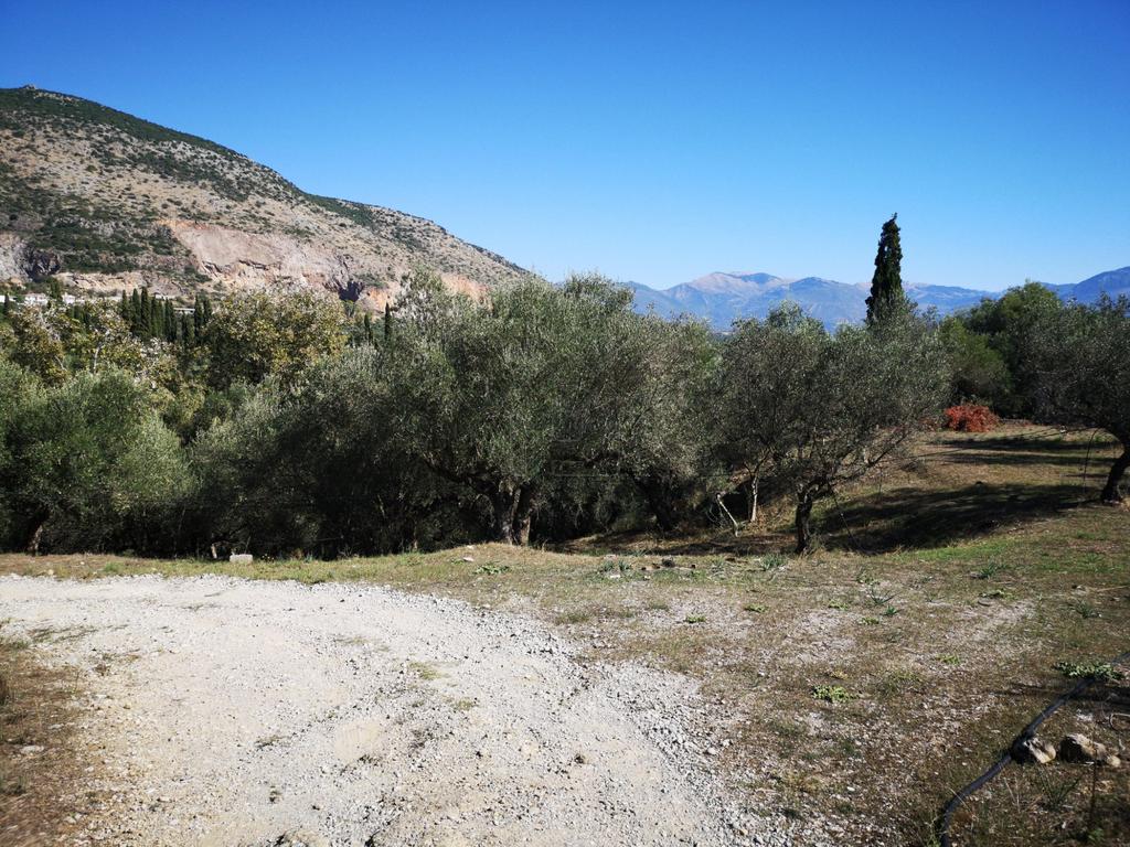 Οικόπεδο 4.567 τ.μ. προς πώληση, Κατσαραίικα