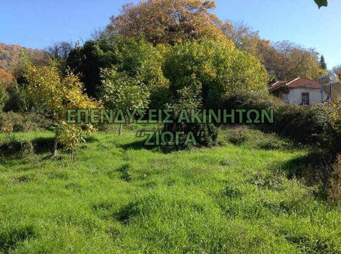 Land plot 3.150sqm for sale-Portaria » Agios Ioannis