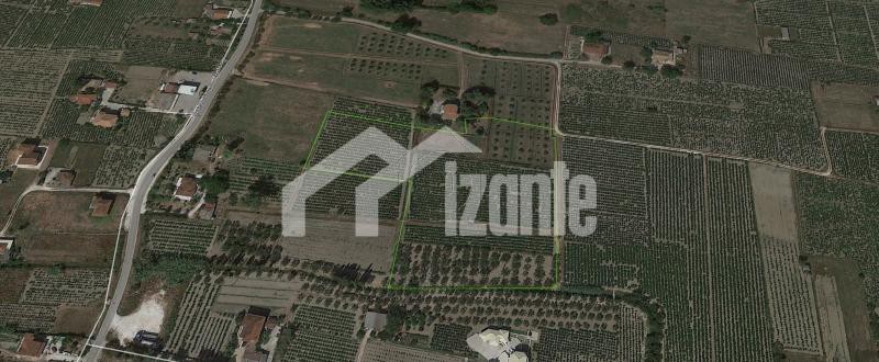 Land plot 7.800 sqm for sale, Zante, Main Town Area