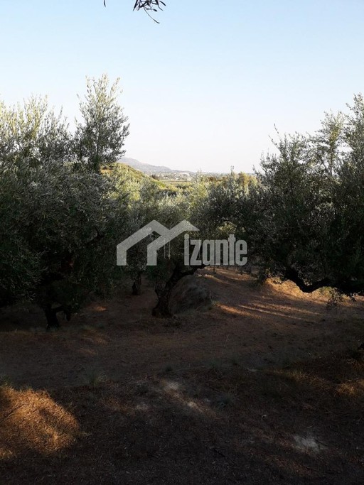 Land plot 4.900 sqm for sale, Zante, Arkadi