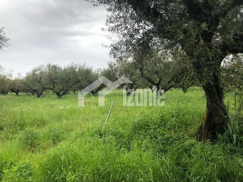 Land plot 4.800 sqm for sale, Zante, Laganas