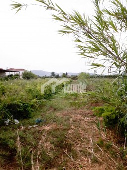 Land plot 8.200sqm for sale-Arkadi » Sarakinado