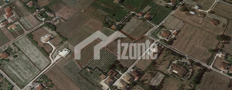 Land plot 4.250 sqm for sale, Zante, Arkadi