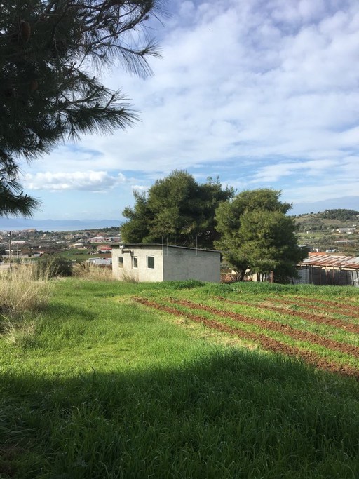 Land plot 8.000 sqm for sale, Evia, Nea Artaki