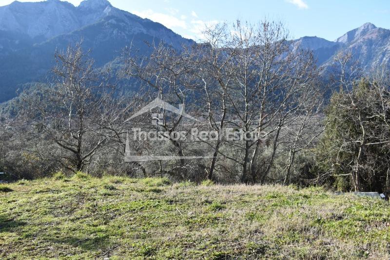 Land plot 790 sqm for sale, Kavala Prefecture, Thasos