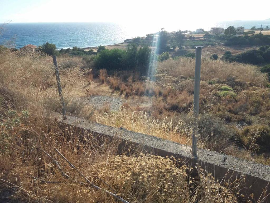 Οικόπεδο 1.000 τ.μ. προς πώληση, Πλατανιάς Βοιών